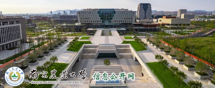 九州网页版登录入口携手德甲联赛开启官