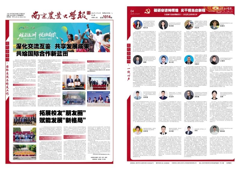 九洲账号登录入口网页版入口