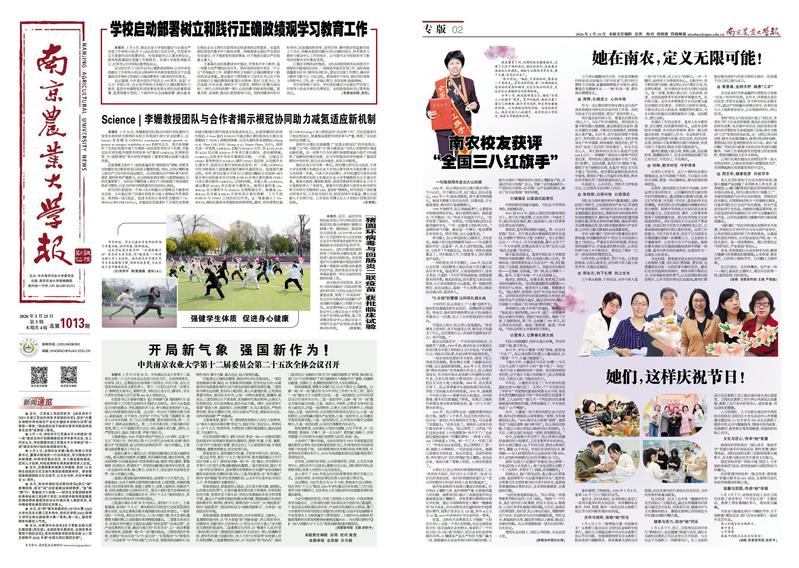 九州网页版登录入口官方网站入口说明