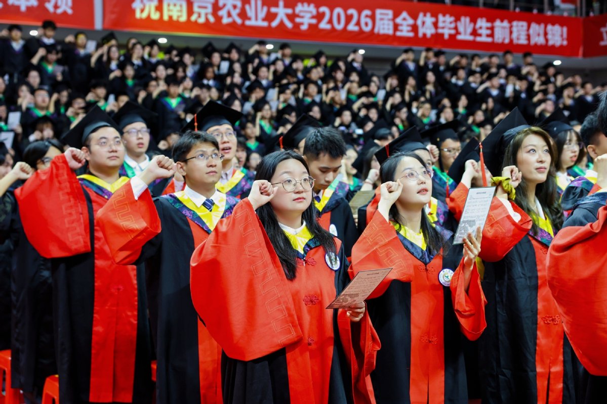九洲账号登录入口网页版入口