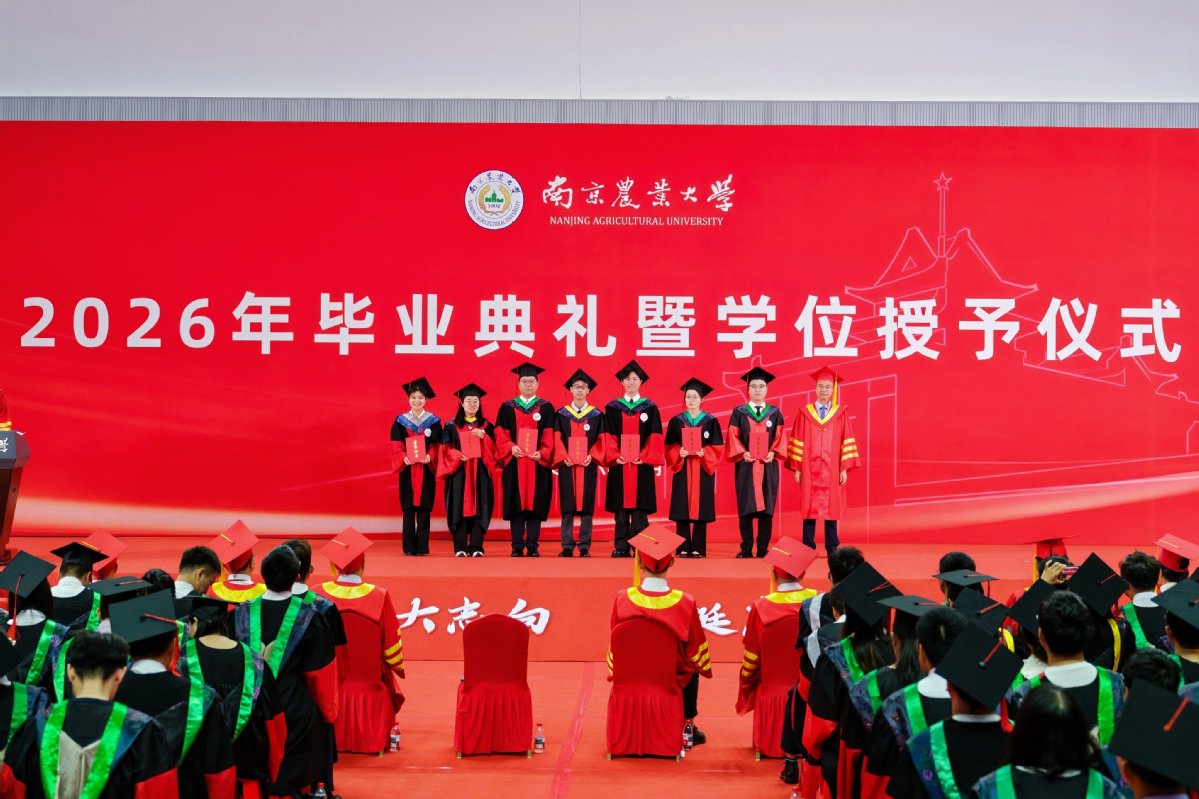 九洲账号登录入口网页版入口
